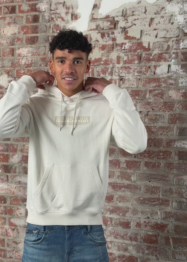 Napapijri Hoodies B box logo h 1 - white whisper